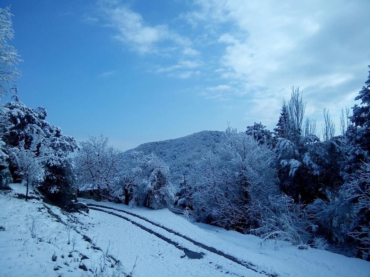 Mas Pardas Santa Pau Dış mekan fotoğraf